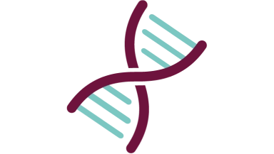 A DNA strand